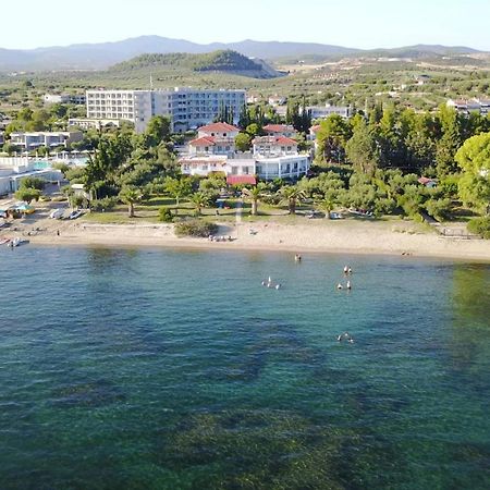 Afroditi Beach Gerakini Bagian luar foto