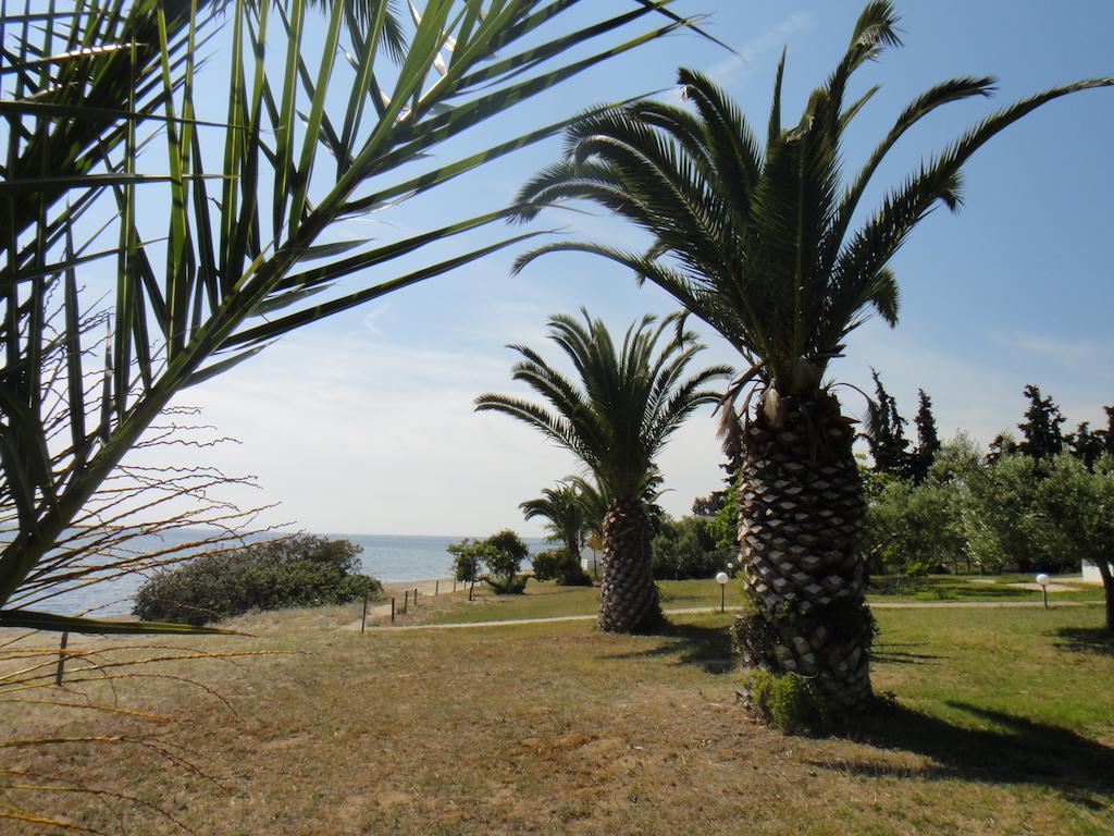 Afroditi Beach Gerakini Bagian luar foto