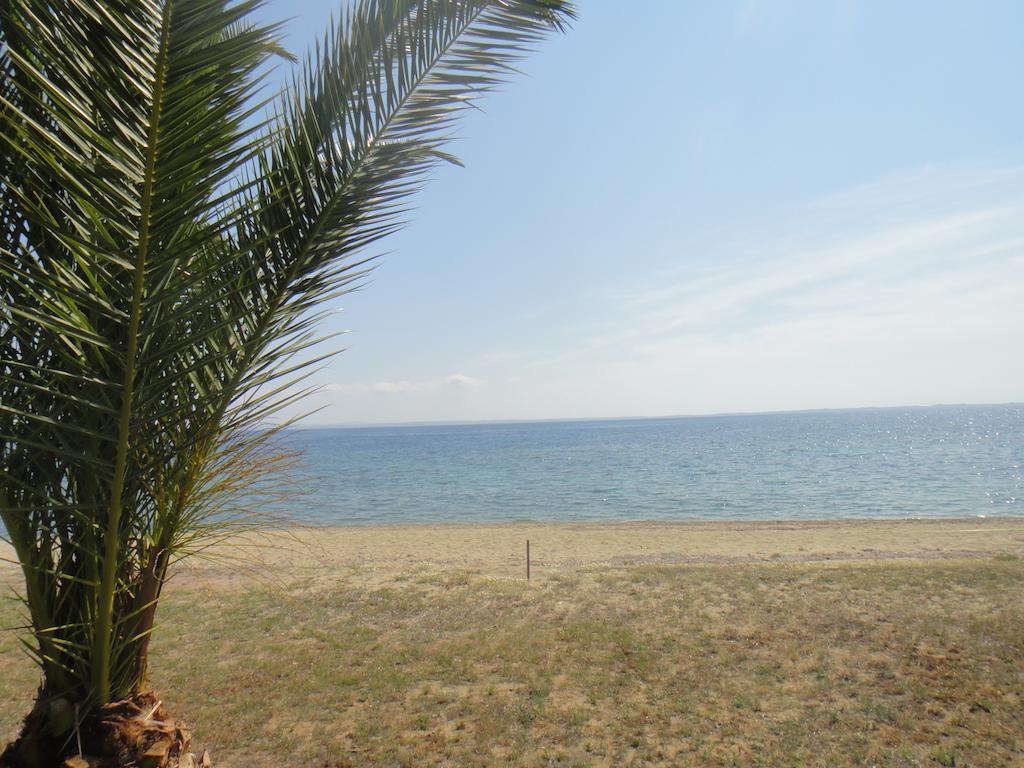 Afroditi Beach Gerakini Bagian luar foto