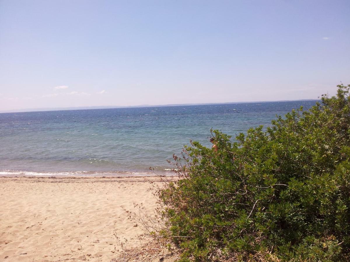 Afroditi Beach Gerakini Bagian luar foto